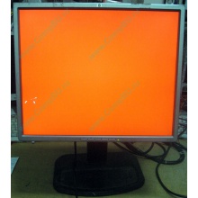 Монитор 19" TFT HP 1955 (DVI в Кудиново, USB-хаб) "квадратный" (Кудиново)