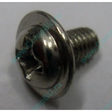 Компьютерный винт "малый" PW-M3x6mm (Кудиново)