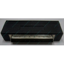 Переходник SCSI внутренний 50M - 68M (Кудиново)
