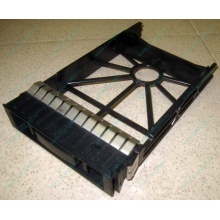 3.5" заглушки для серверов HP (Кудиново)