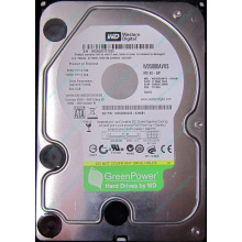 Жесткий диск 500Gb Western Digital WD5000AVVS 5400 rpm SATA (Кудиново)
