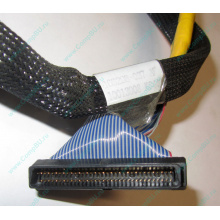 Кабель SCSI HP 166298-037 для HP ML370 G4 (Кудиново)