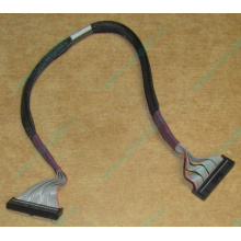 FDD-кабель HP 271946-006 для ML370 (Кудиново)