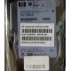 Жёсткий диск 146.8Gb HP 365695-008 404708-001 BD14689BB9 256716-B22 MAW3147NC 10000 rpm Ultra320 Wide SCSI купить в Кудиново, цена (Кудиново).