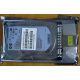 HDD 146.8Gb HP 360205-022 404708-001 404670-002 (Кудиново)