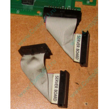 Шлейф 24pin 6017B0045701 для Intel C74974-401 T0043401-B01 (Кудиново)