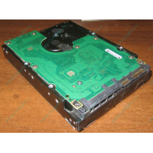 Жесткий диск 300Gb 15k Dell 9CH066-050 6G SAS (Seagate Cheetach ST3300656SS 15K.6) - Кудиново