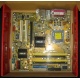 Материнская плата Asus P5L-VM 1394 s.775 (Кудиново)